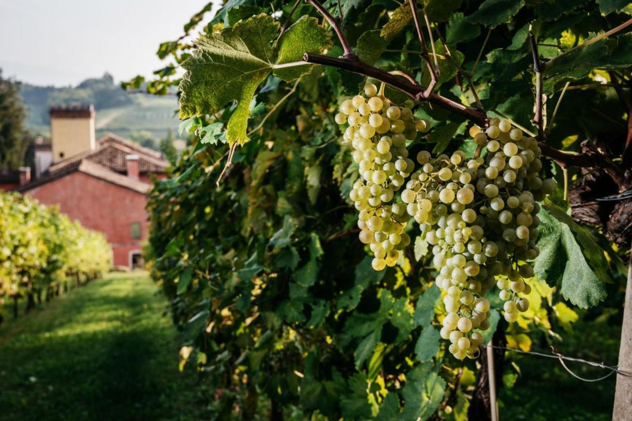 Clementina - Prosecco Country Frühstückspension San Pietro Di Feletto