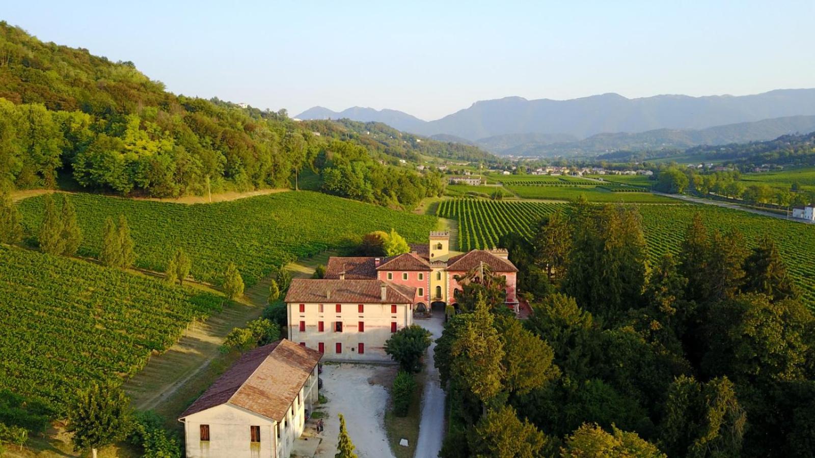 Clementina - Prosecco Country San Pietro Di Feletto