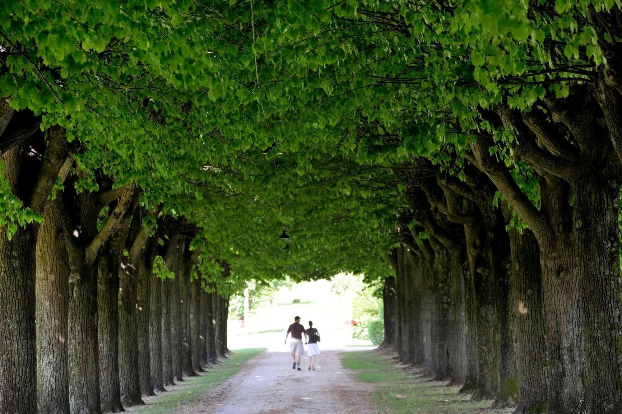 Bed & Breakfast Clementina, Prosecco Country 3*