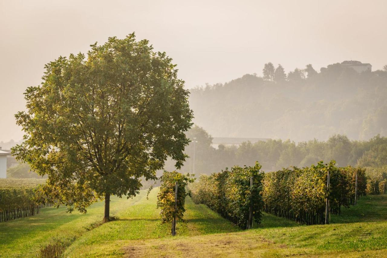 Clementina, Prosecco Country Bed and breakfast San Pietro Di Feletto